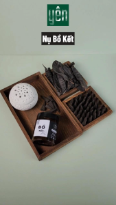 Nụ Bồ Kết Yên Thảo Mộc Sạch Ít Khói Hộp 40 Nụ Tự Nhiên Không Hóa Chất Thờ Cúng Thư Giãn Xông Nhà