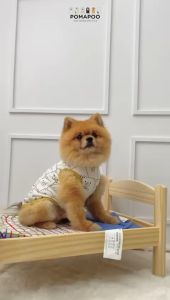 Teddy Tank - Baju Kucing dan Baju Anjing POMAPOO Premium Berkualitas