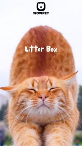 WOWPET Petfy Love Tandaz Den Cat Litter Box  Anti-Splash Easy Clean 90° Flip Lid