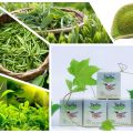 Trà Giảm Cân Thảo Mộc Hiệu Quả Tại Nhà. 