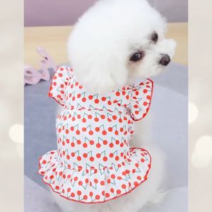 váy đầm in trái cherry liti cho chó mèo - T3 PETS SHOP