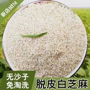 Full & High Quality White Hulled Sesame Seeds