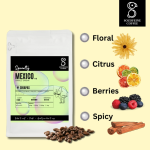 Single Origin-Mexico 100% Arabica Coffee Bean