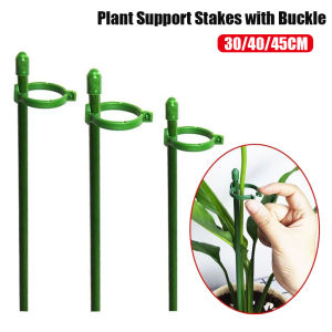 1PC/10PCS Plant Stakes Green Adjustable Garden Single Stem Plant Support Stakes Plant Support Sticks with Rings for Indoor and Outdoor PlantsFlowersTomatoes