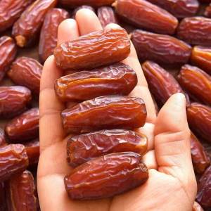 Iraqi Premium Quality Dates