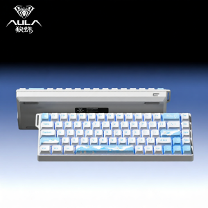 AULA-MOJING | Gaming and Office Use Magnetic Axis Keyboard RGB