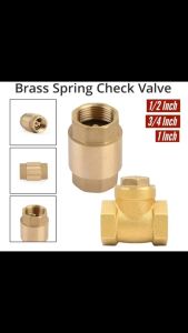 BATHKITCHZ Brass Check Valve PN25 Non Return Valve Spring Check Water Copper One Way Swing Ram Injap