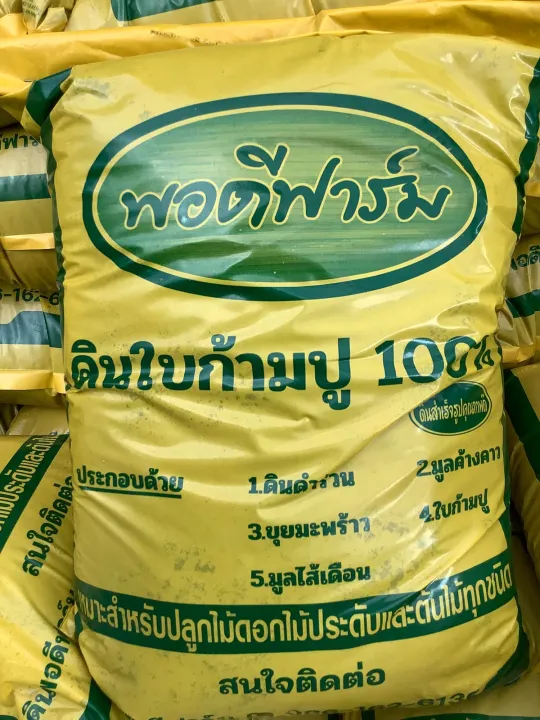 10 อันดับ ดินปลูกและวัสดุเพาะปลูกที่ดีที่สุดสำหรับสวนสวยในปี 2026