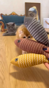 Cat Toy Catnip Simulation Linen Fish Self Entertainment Stress Relief Cat Toy Kitten Molar Teeth Bite Resistant Funny Cat Wand