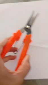 กรรไกรตัดกิ่ง ยาว 7"   *  ขึ้นสนิมนิดหน่อย ไม่มีผลต่อการใช้งาน   *ใช้งานได้ปกติ  กดดูในวิดีโอได้เลย