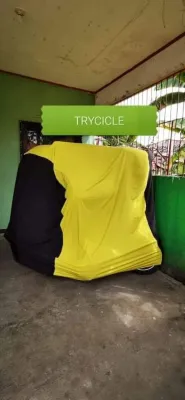 TRICYCLE COVER