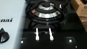 Kim sứ bếp âm Rinnai RVB-2BG