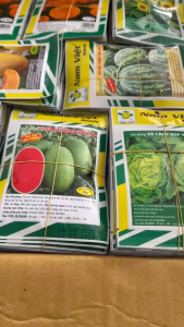 Hạt Giống Dưa Hấu Song Long 779 NAM VIỆT (Gói 20gr) - Dưa Hấu Đường