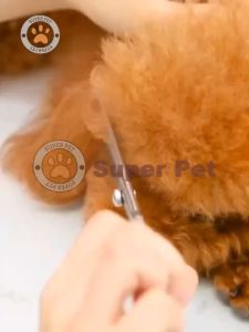 7Pcs IN 1 Set Pet Grooming Scissors Kit Professional Curved Pet Grooming Shears Durable Dog Cat Barber Cutting Tools