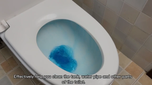 10pcs Magic Auto Toilet Bowl Cleaner Blue Bubble Flush Tablet Tandas Pembersih Tandas Toilet Cleaning AiYOYO
