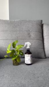 Chai Xịt Thơm Khử Mùi Vệ Sinh Sofa VINA TƯƠI 100ml/300ml/500ml Bàn Ăn Kính Ghế Da Vải Nỉ Văn Phòng Salon Gỗ