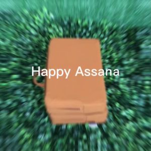 เบาะรองนั่ง รุ่น พับเล็ก 3 สี กากี น้ำเงิน กรัก เบาะนั่งสมาธิ รองก้น เน้นพกพาสะดวก