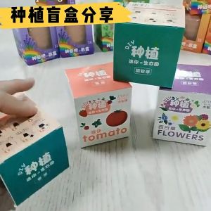 Set Tanam Mini Kanak Kanak DIY Pokok Sayur Bunga Pendidikan Prasekolah Hadiah Edukasi Kids Mini Plant Blind Box Flower Vegetables DIY Kindergarten Science Education Gift 儿童迷你种植盲盒花卉蔬菜DIY观察盆栽植物幼儿园科教礼物 E306