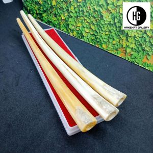 once pipa klokotan sirip marlino model bulat super h608