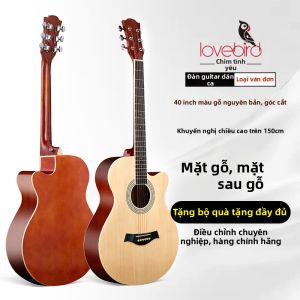 Lovebird | Guitar Dân Cầu Nhập Môn 38 inch