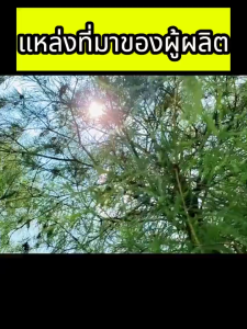 ผ้าใบกันฝน ผ้าใบใสกันฝน พลาสติกใสกันฝน ผ้าใบกันฝน(มีตาไก่) ป้องกันน้ํากันฝน หนาทนต่อการสึกหรอ