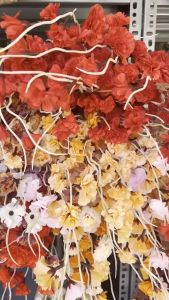 Cành Hoa Anh Đào Râu Cao Cấp Dài 1m Hoa Cắm Cổng Cưới Cắm Bình Trang Trí Tết Trùm Sỉ Gia Thành