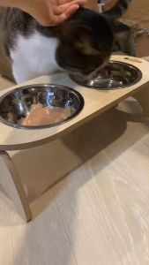 ชามอาหารแมว ชามน้อนแมว by Catchy Meaw - ส่งฟรี