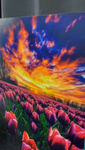 HIMALAYA35*50 Bedroom Dining Room Living Room Office Hotel FLOWER Paintings DESIGN