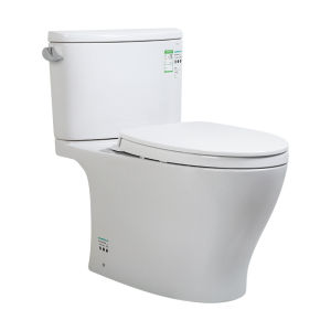 Intelligent Glaze Whirlpool Water-saving Toilet