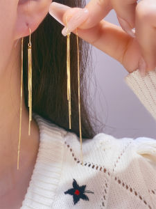 925 Silver Needle Tassel Earrings Womens New Fashion Long Face Slimming Ear Jewelry Korean Style Alloy Plated Silver Gold