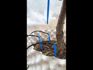 3PCS Bend Water DripperPrecise Root Wateringfor Garden Greenhouse Irrigation System