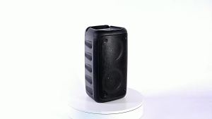 Karaoke Radio FM Bluetooth Speaker Portable Wireless With Microphone Lamp Machine Caixa De Som Sound Box Music Subwoofer LED TWS