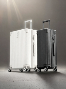 JR＆BL | Durable Large Capacity Aluminum Frame Travel Luggage 20 Inch