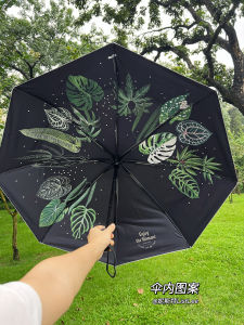 Ghế Che Nắng Chống Tia UV Tự Động Có Mái Vòm Nhỏ Chống Nắng Cho Thực Vật Dùng Trong Nhà Và Ngoài Trời