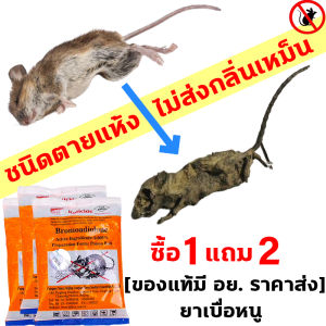 ชนิดตายแห้ง ไม่ส่งกลิ่นเหม็น LHยาเบื่อหนู [ของแท้มี อย. ราคาส่ง]  ยาฆ่าหนู  ซื้อ1แถม2 150g RATICIDE ฆ่าหนูมืออาชีพ  ยากำจัดหนู เหยื่อกำจัดหนู เหยื่อหนู ยาเบื่อหมา