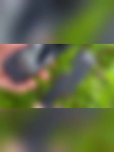 Insta360 ONE X3 Camera Protective Frame/Bingkai Pelindung Insta360 ONE X3