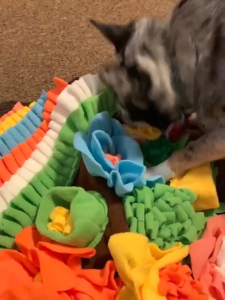 Snuffle Mat Pet Feeding Mat for Small Pets Dogs Cats Rabbits Non-Slip Portable Durable Interactive Dog Mat