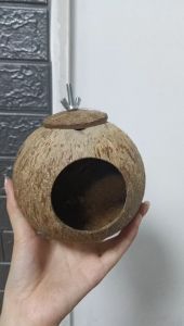 บ้านกะลา รังนก บ้านนก บ้านกระรอก บ้านกะลา ชุกานุ แฮมเตอร์ บ้านนก บ้านกระรอก แฮมเตอร์