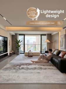 XINGLIANXIN | Modern Easy-to-clean Double-layer Living Room Carpet