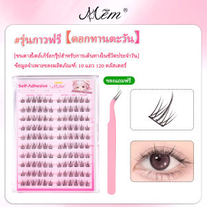 10Rows of 5D False Eyelashes Segmented DIY Single Cluster Glue Free False Eyelashes Gift Tweezers Natural Lashes