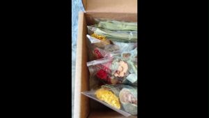 Trà Bí Đao 6 Vị - Thảo Mộc Sài Thành - Thanh nhiệt cân bằng vóc dáng mát gan Thành phần tự nhiên