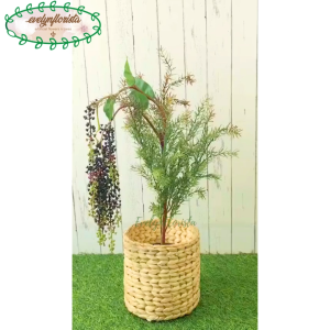 Pohon Hias Artificial Daun Cemara Buah Buni Latex Pot Dasar Hitam Cover Eceng Gondok Medium Pajangan Meja Cafe Meja Ruang Tamu Aesthetic