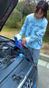 Viên sủi rửa kính ô tô xe hơi dễ sử dụng nhanh sạch tiết kiệm thời gian 1 viên pha với 4 lít nước