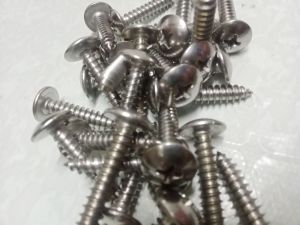 stainless airbox bolt sold per pc