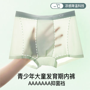 Summer Childrens Underwear Ice Silk Boys Boxer Briefs Mulberry Silk Student Seamless Boxer Shorts 夏季儿童内裤 冰丝男童四角裤 桑蚕丝学生无痕平角裤 FUNIANQI