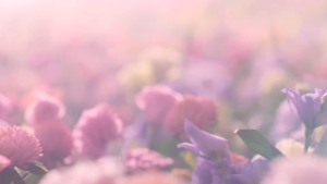 Phấn má hồng ánh nhũ Canmake Glow Fleur Cheeks Blend - Nội địa Nhật