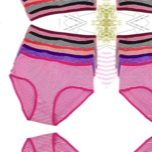 กางเกงในลายขวางผู้หญิงขนาดใหญ่พิเศษ5ชุดชั้นในลายแถบ5คน