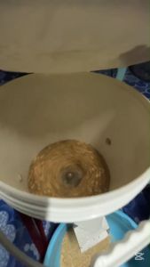 มอเตอร์เครื่องซักผ้า รุ่น YXB-160 – ทรงพลัง คุ้มค่า ใช้งานง่าย