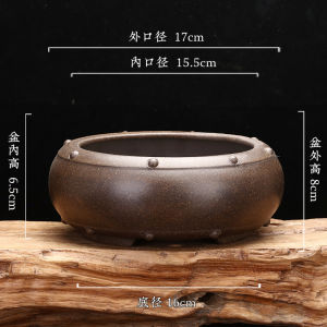Classical Purple Clay Flower Pot round Shape Bamboo Special for Golden Egg Plant And Succulent Desktop Garden Decoration