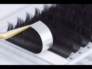 Panduan Lengkap Mengenai Bulumata Eyelash Super Halus & Lebih Lembut